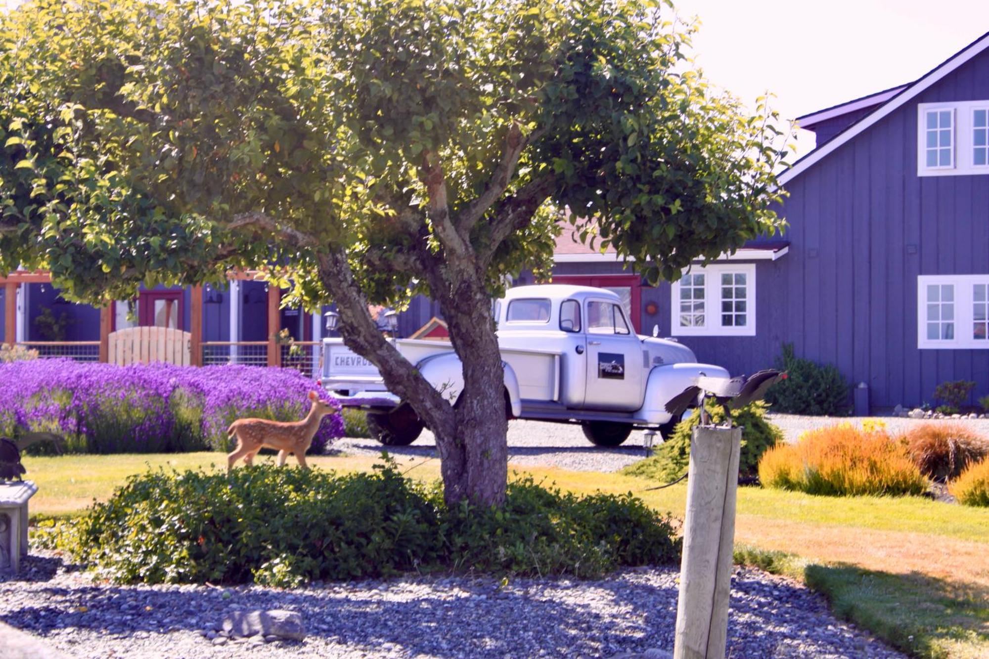 Dungeness Barn House Bed And Breakfast At Two Crows Farm Сквім Екстер'єр фото