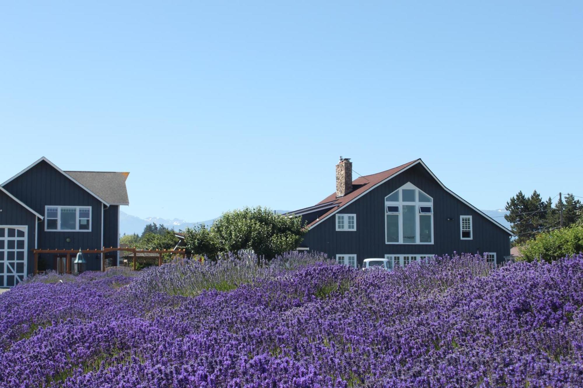 Dungeness Barn House Bed And Breakfast At Two Crows Farm Сквім Екстер'єр фото